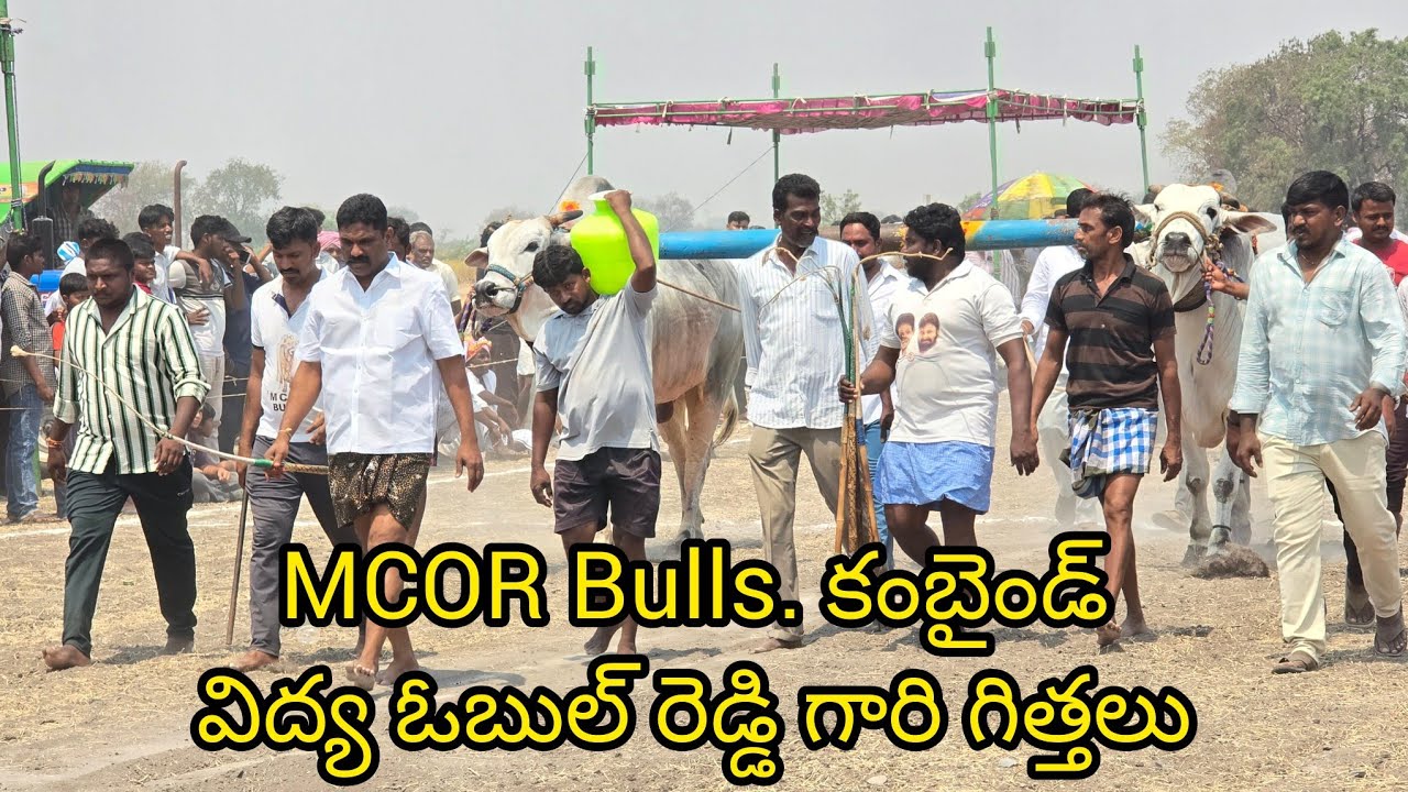 పెద్ద పసుపుల సీనియర్స్ 7జత.మార్తల చంద్ర ఓబుల్ రెడ్డిగారు. కంబైన్డ్ బొజ్జా ఓబుల్ రెడ్డి గారు 2160.7