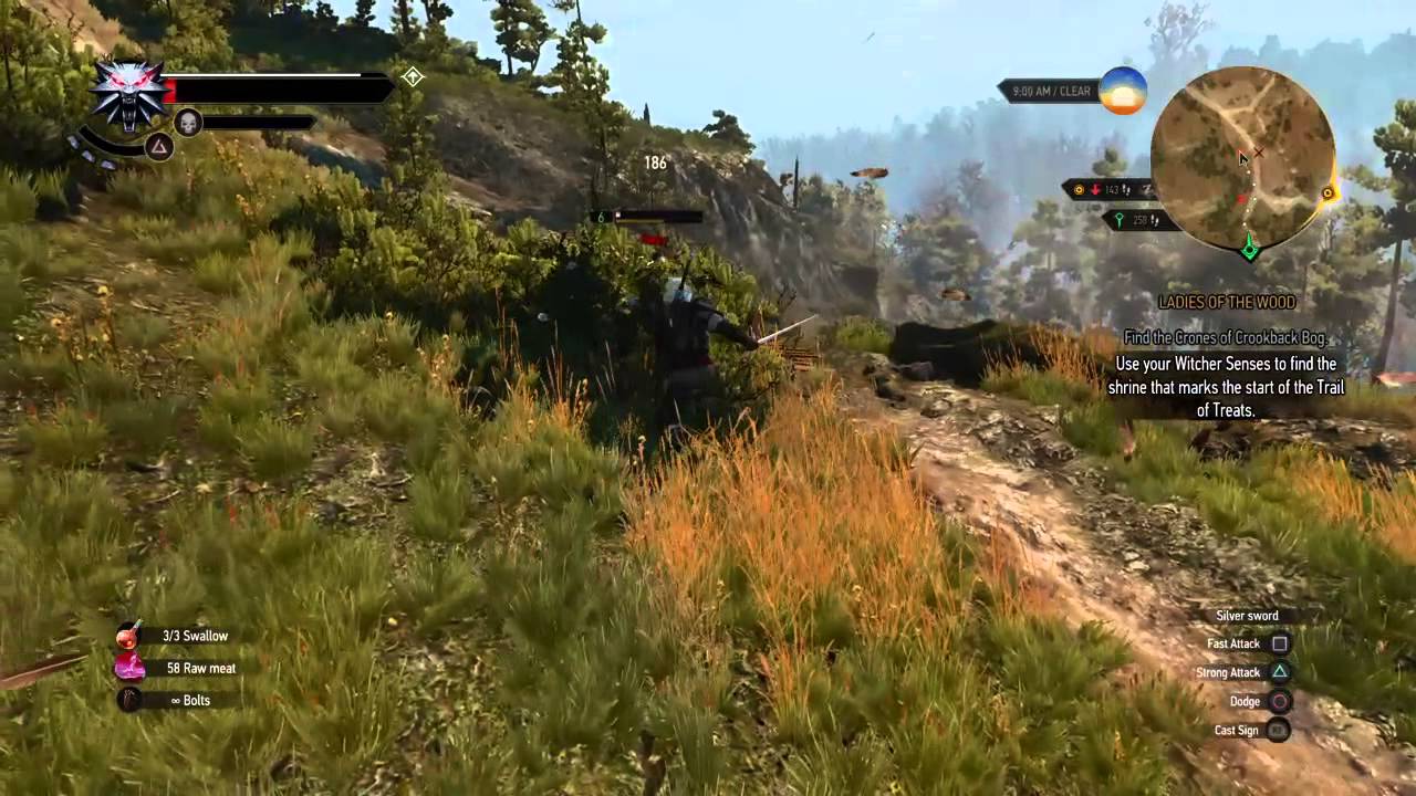 The Witcher 3 Harpies, First Encounter