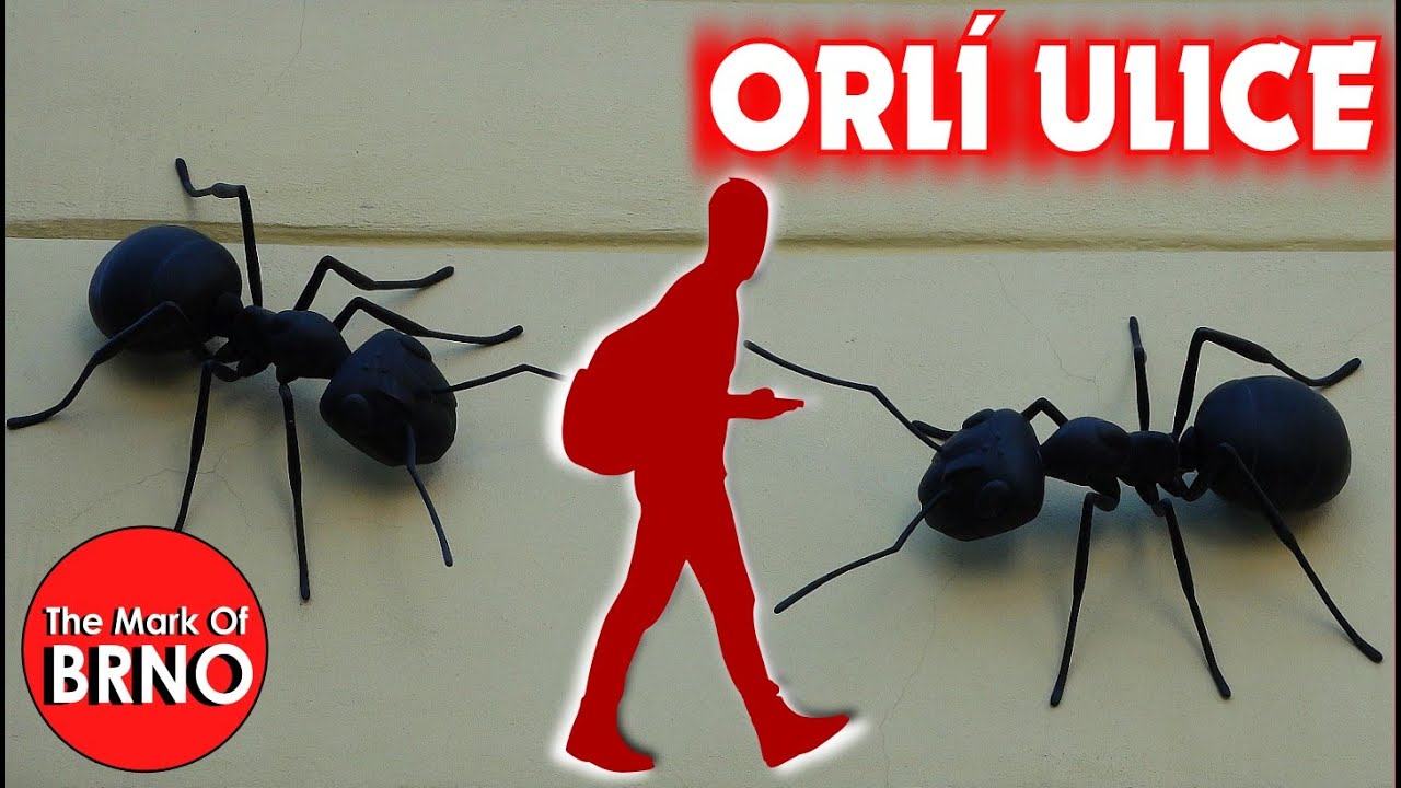 Chození po Brně od Měnínské brány na Zelný trh - Léto 2019 Orlí ulice vlog