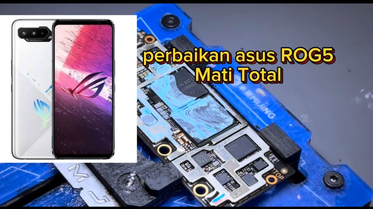 Perbaikan ASUS ROG 5s Mati Total