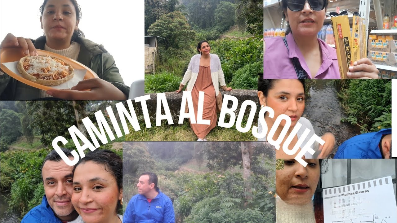 Primera caminita del año al bosque🌳+un rico desayuno , tarea de la escuela de mis niños📚❤️