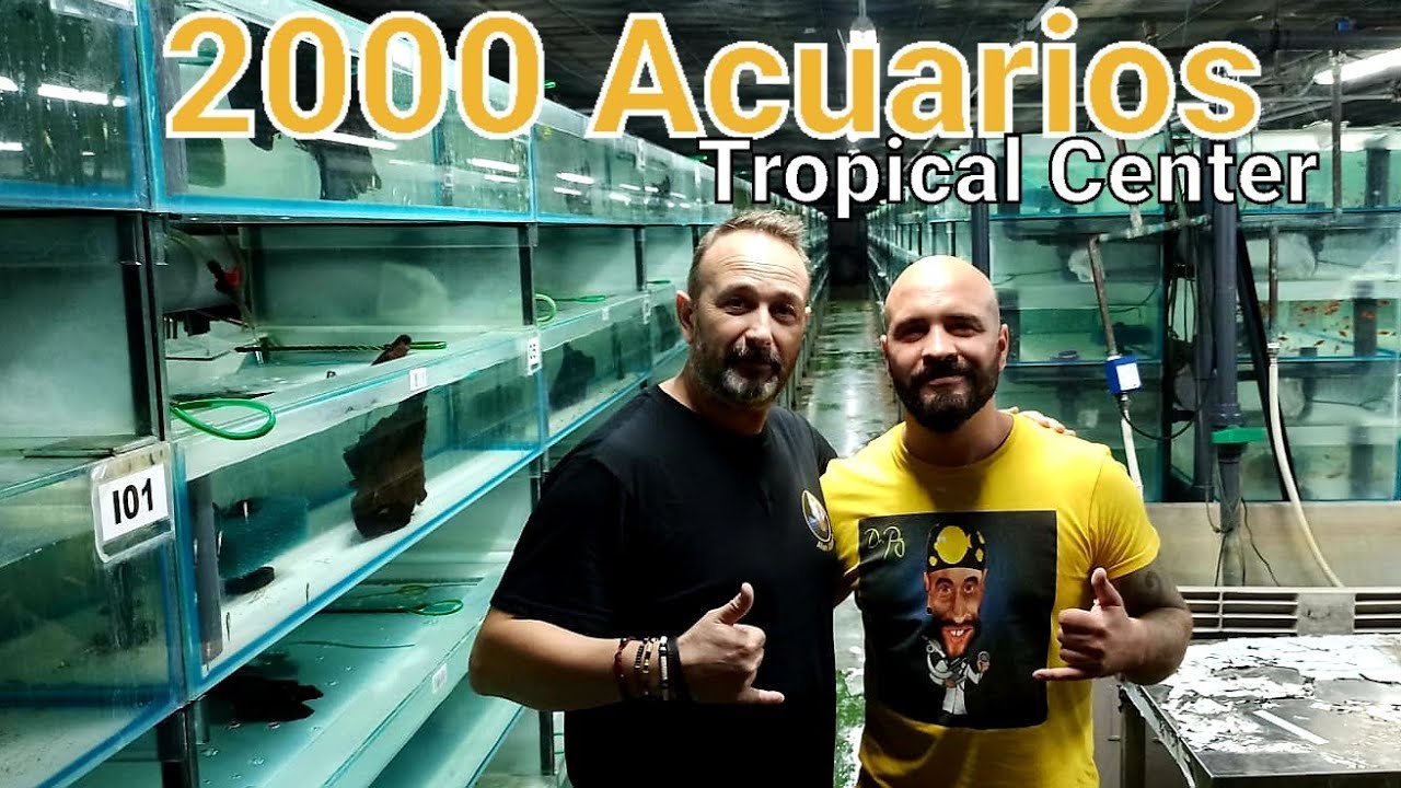 TROPICAL CENTER | 2000 Acuarios de Peces.