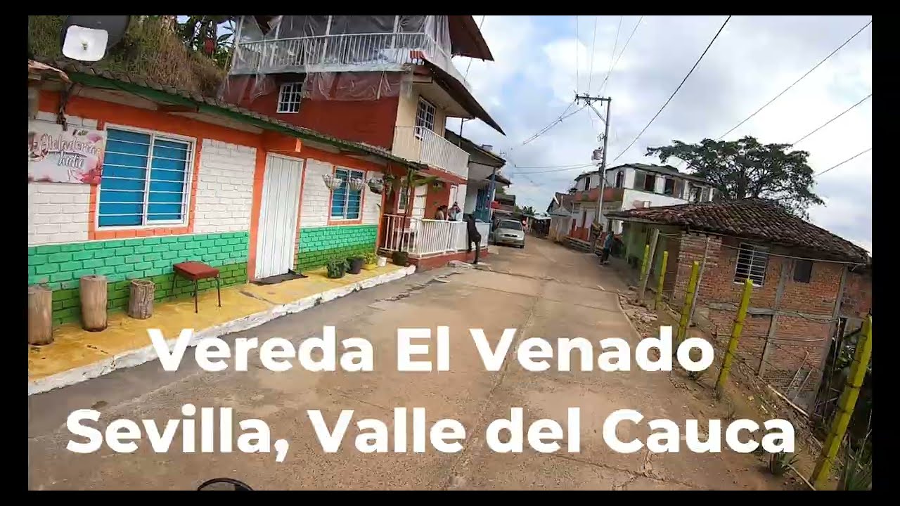 Sevilla a las veredas Palomino y El Venado, en el Valle del Cauca   #meteor350royalenfield