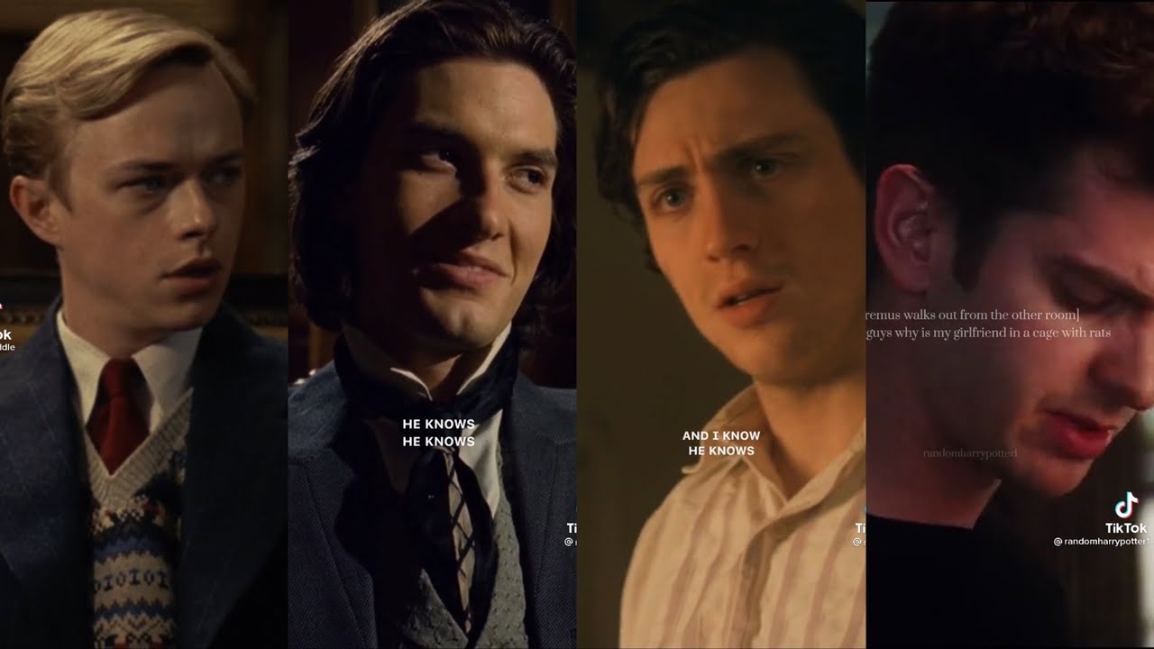 Marauders x Y/N TikTok POV