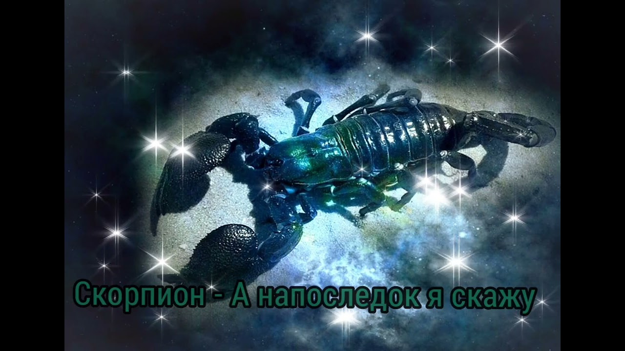 Скорпион - А напоследок я скажу|Шоу 