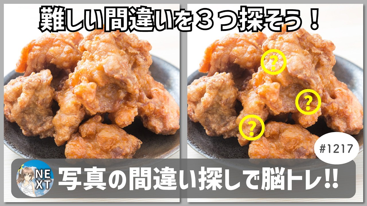 『間違い探し』写真で脳トレ！ #1217 「からあげ」「標高2300m」「サイバービル群」【高難易度】｜Find the difference game in photos