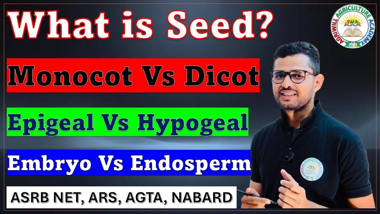 What is Seed | बीज क्या है | Monocot and Dicot seed | Epigeal and Hypogeal Germination #gpb