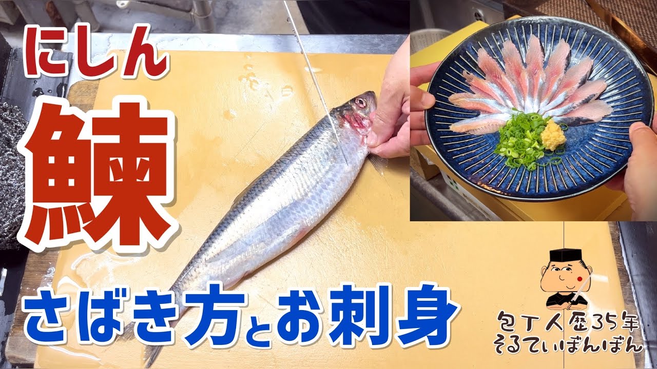 #153【鰊 ニシンをさばく お刺身】【京都有次 筋引き庖丁 27センチ & 33センチ】