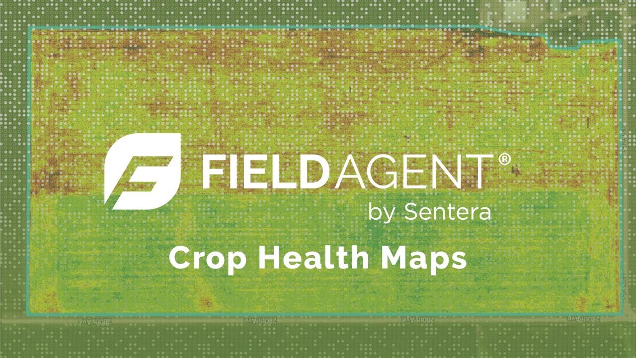 Crop Health Maps