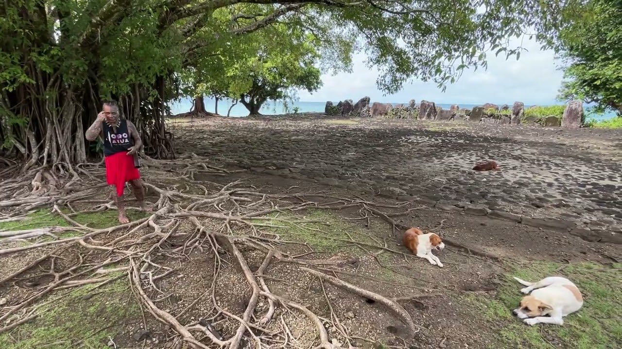 Local guide tells the story of Marae Hititai or Tau’aitu, in Ra’iatea, French Polynesia 