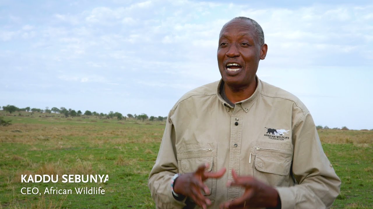 African Wildlife Foundation's Kaddu Sebunya on Family Safaris