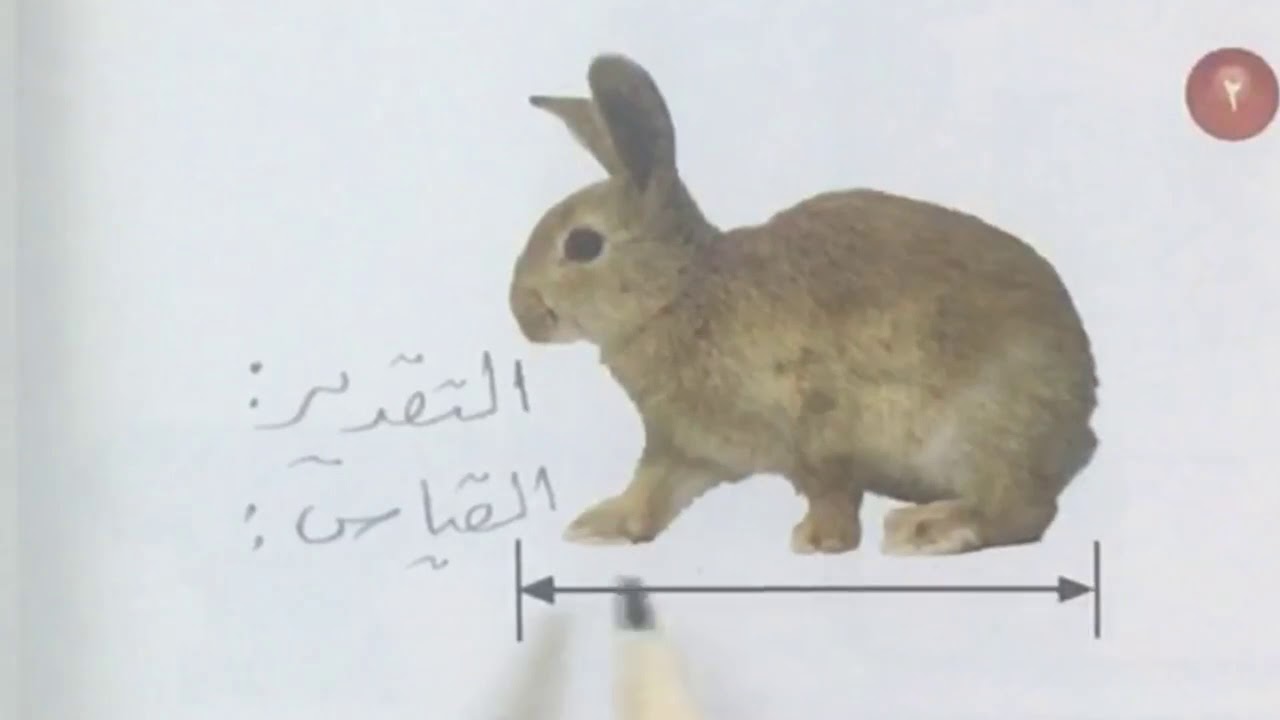 وحدات الطول المترية - رياضيات الصف الرابع الفصل الثاني