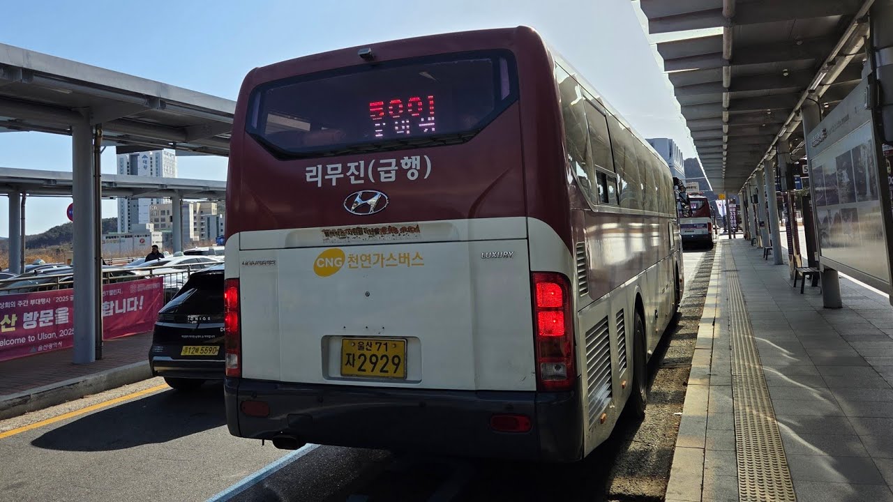 [울산] 울산시내버스 사진모음집 #7 [1080p]