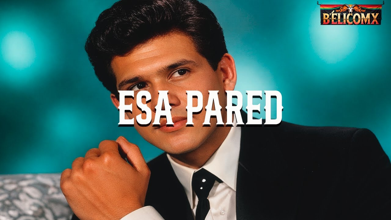 Leo Dan, Vicente Fernández - Esa Pared (Letra)