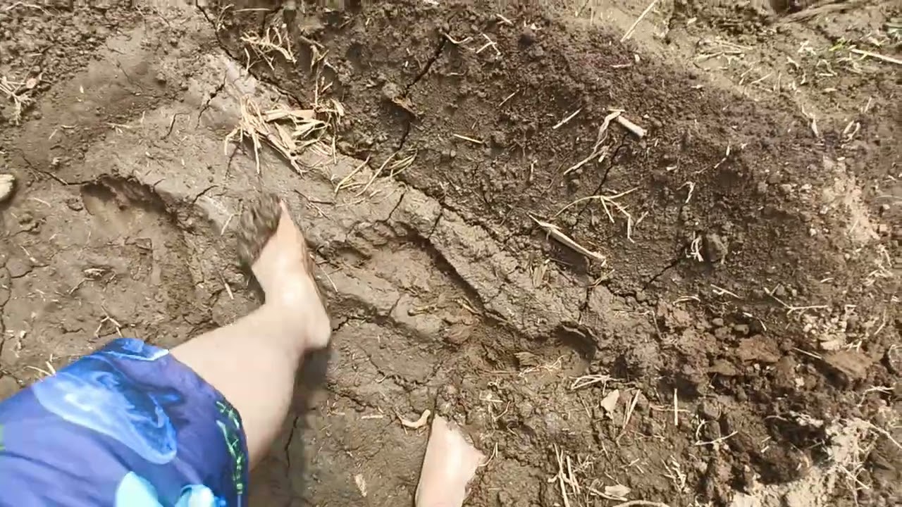 Leaving footprints in the mud (2025-05-21 14-52-18)