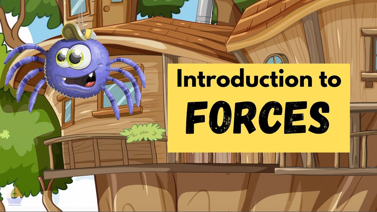 3rd Grade Science: Introduction to Forces