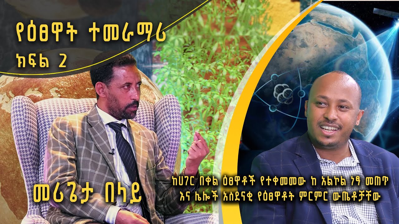 Andromeda አንድሮሜዳ: ከሀገር በቀል ዕፀዋቶች የተቀመመው ከአልኮል ነፃ መጠጥ | መሪጌታ በላይ | S02E10
