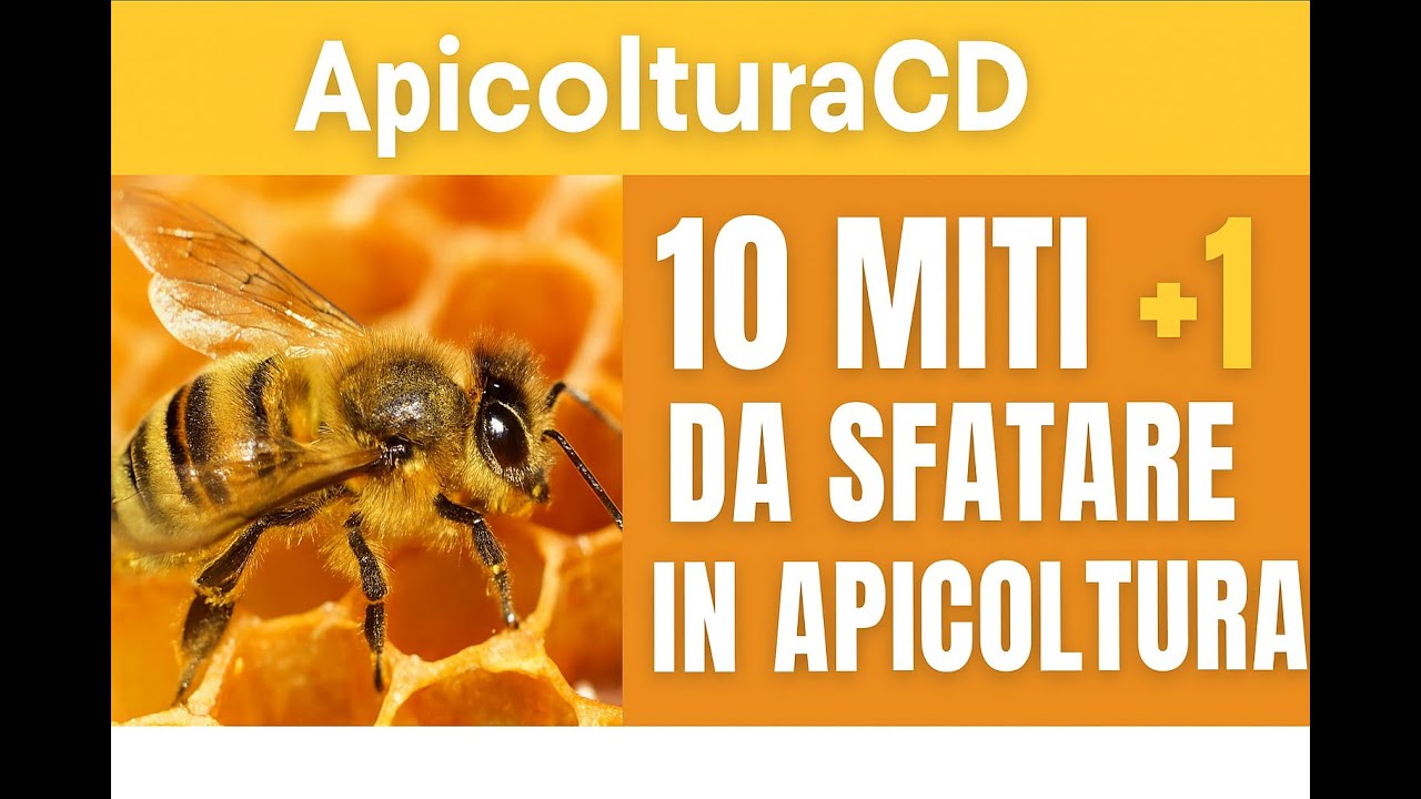Apicoltura CD: Dal fumo al miele: 10+1 miti da demolire