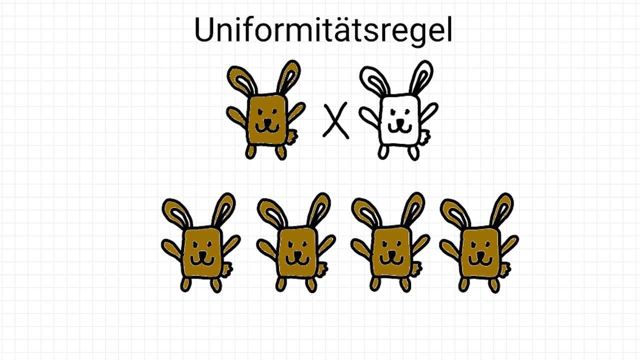Die mendelschen Regeln - einfach erkl&auml;rt - Biologie