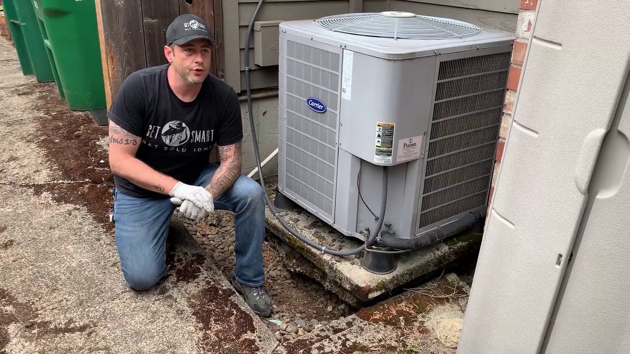What do Heating and Cooling Units and Rats Have in Common?