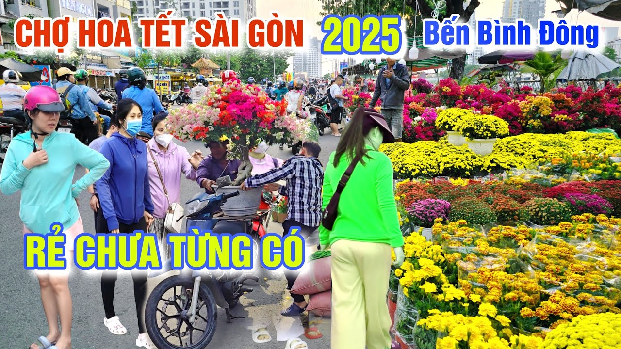BẤT NGỜ CHỢ HOA TẾT SÀI GÒN 2025: BÙNG NỔ MAI VÀNG GIÁ RẺ CHƯA TỪNG CÓ Ở BẾN BÌNH ĐÔNG