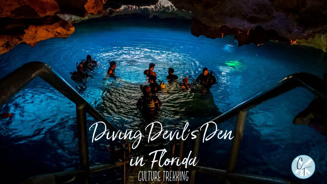 Diving Devil's Den in Florida   A Contrasting Underworld of Light and Dark