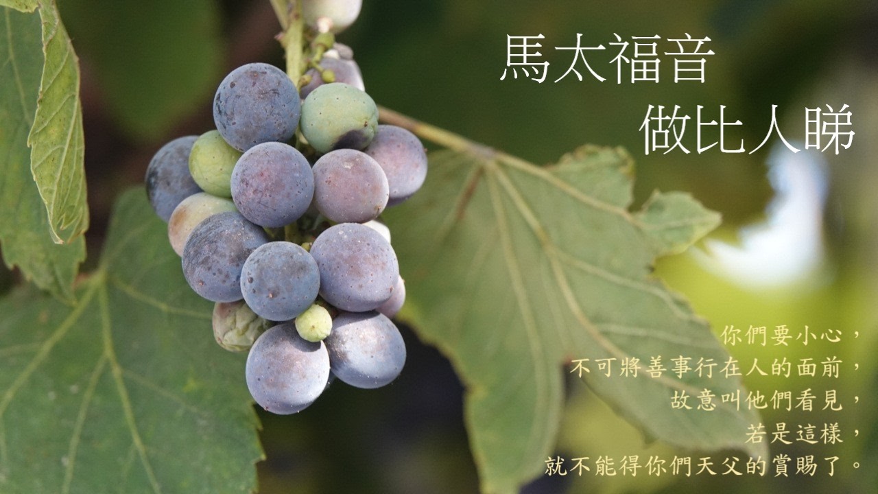 靈修:馬太福音-做比人睇 20260316