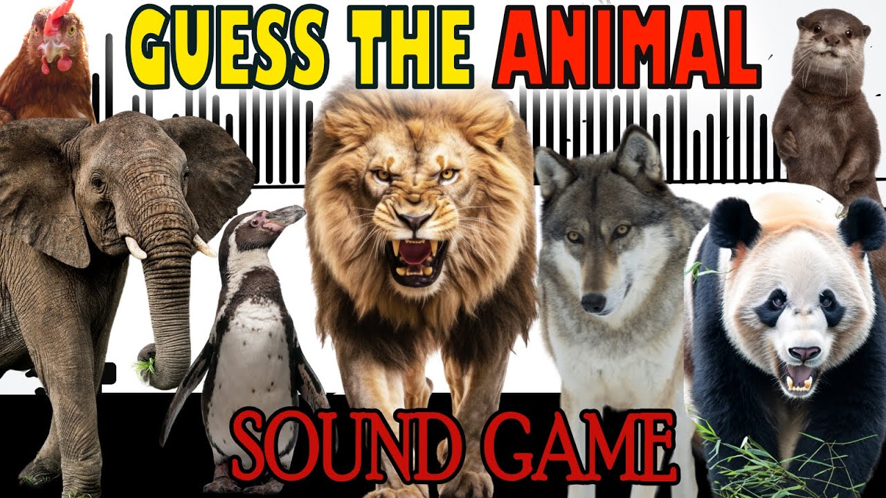 Guess the Animal Sound Game Animal Sounds Quiz