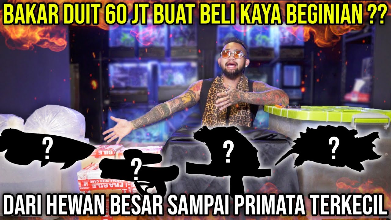 B4K4R DUIT 60JT  BUAT BELI KAYA BEGINIAN?? DARI HEWAN BESAR SAMPAI PRIMATA TERKECIL