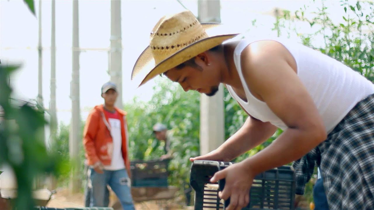 Banda Candente - Sueño Guajiro
