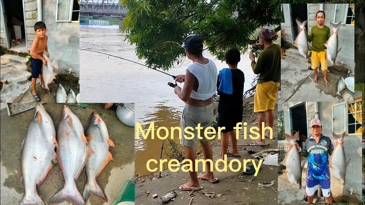 Resbak sa monster fish creamdory #fishing hunting sulipan apalit spot
