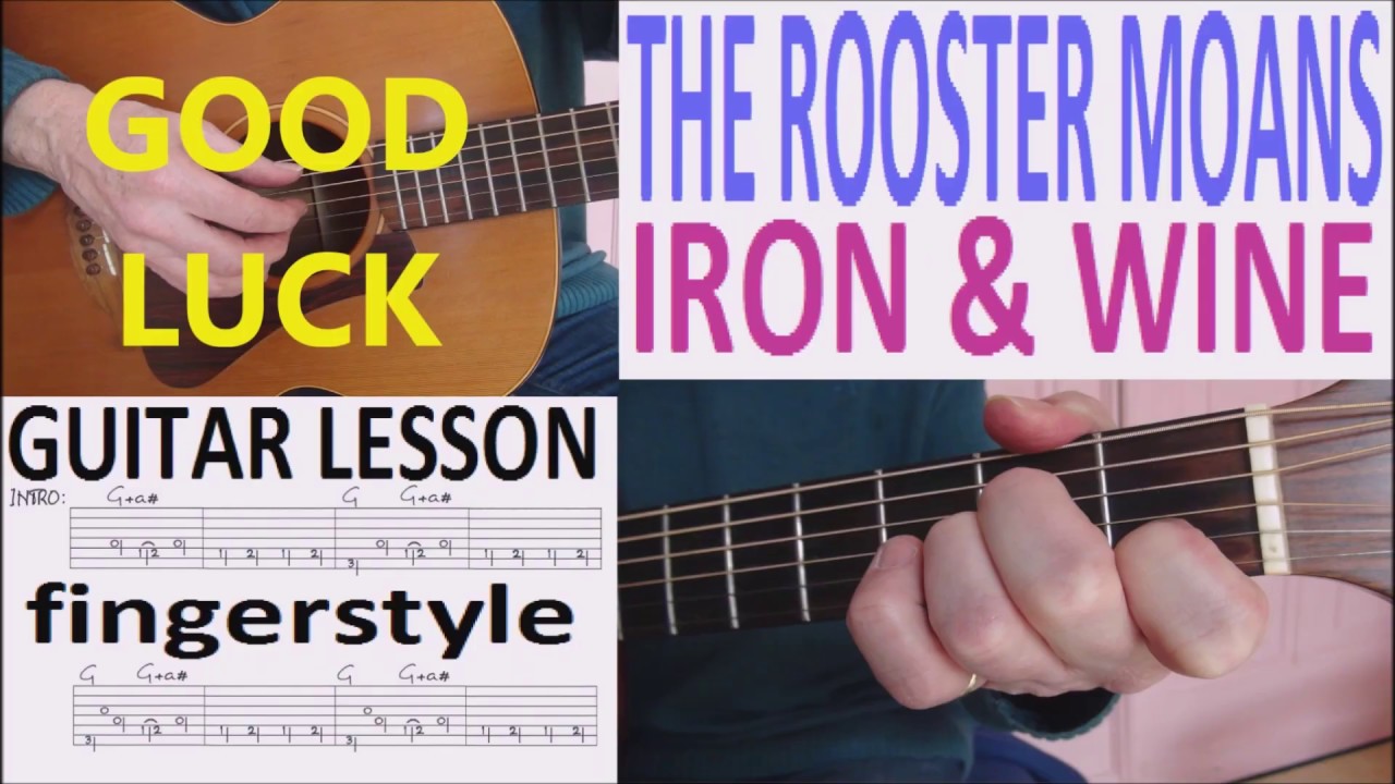 THE ROOSTER MOANS - IRON & WINE fingerstyle GUITAR LESSON