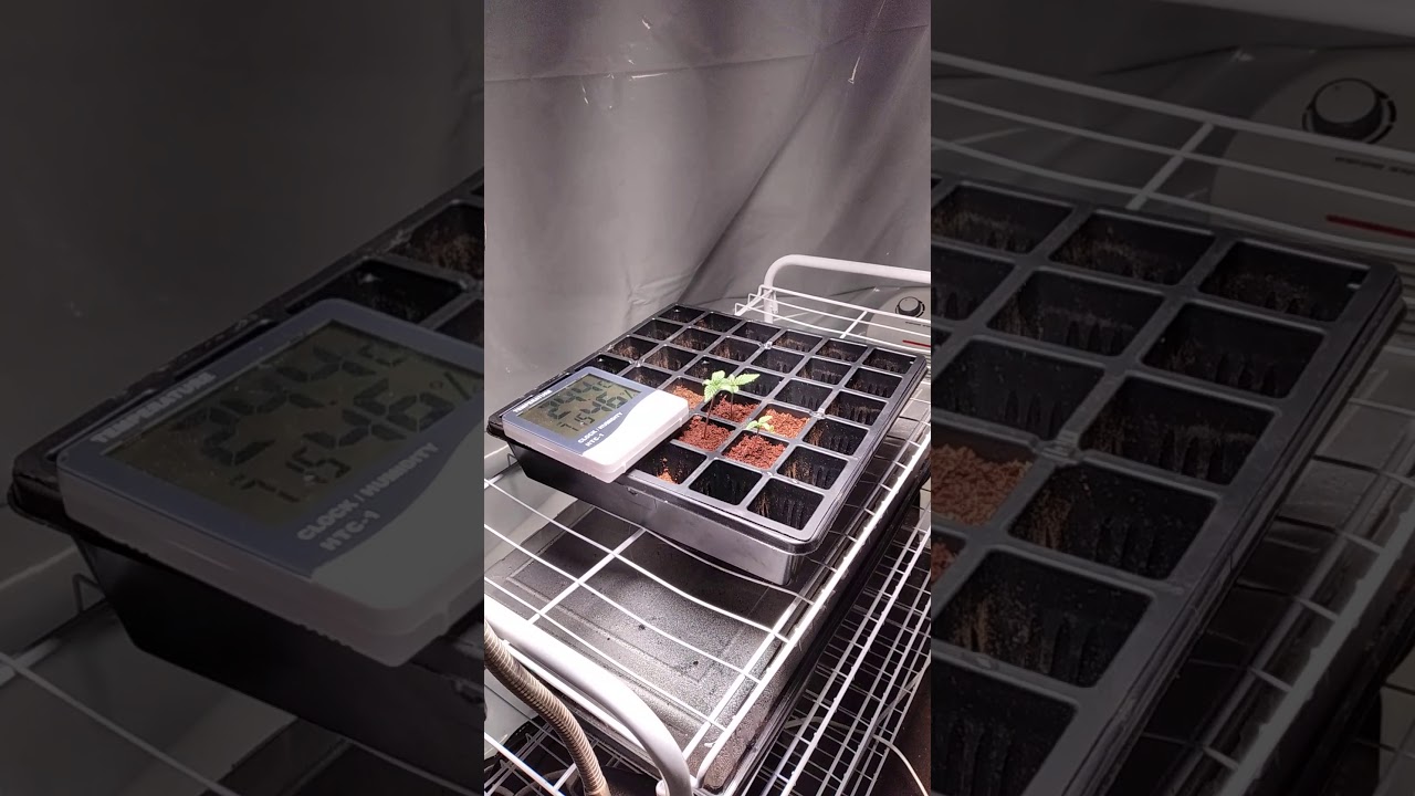 Ygrow 1500 Led