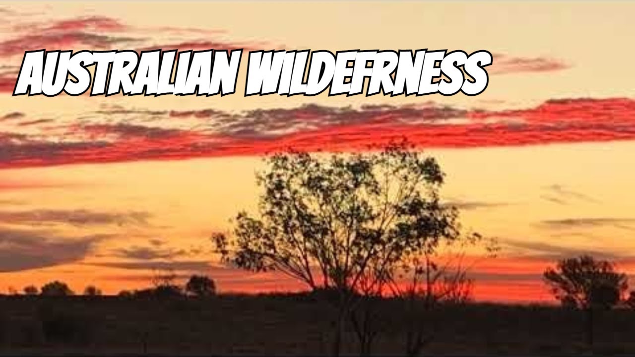 Приключения в глубинке — Австралийский уголок на нашем экспедиционном грузовике SLRV