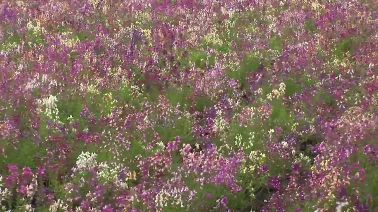 Andreas Vollenweider - Flight Feet And Root Hands
