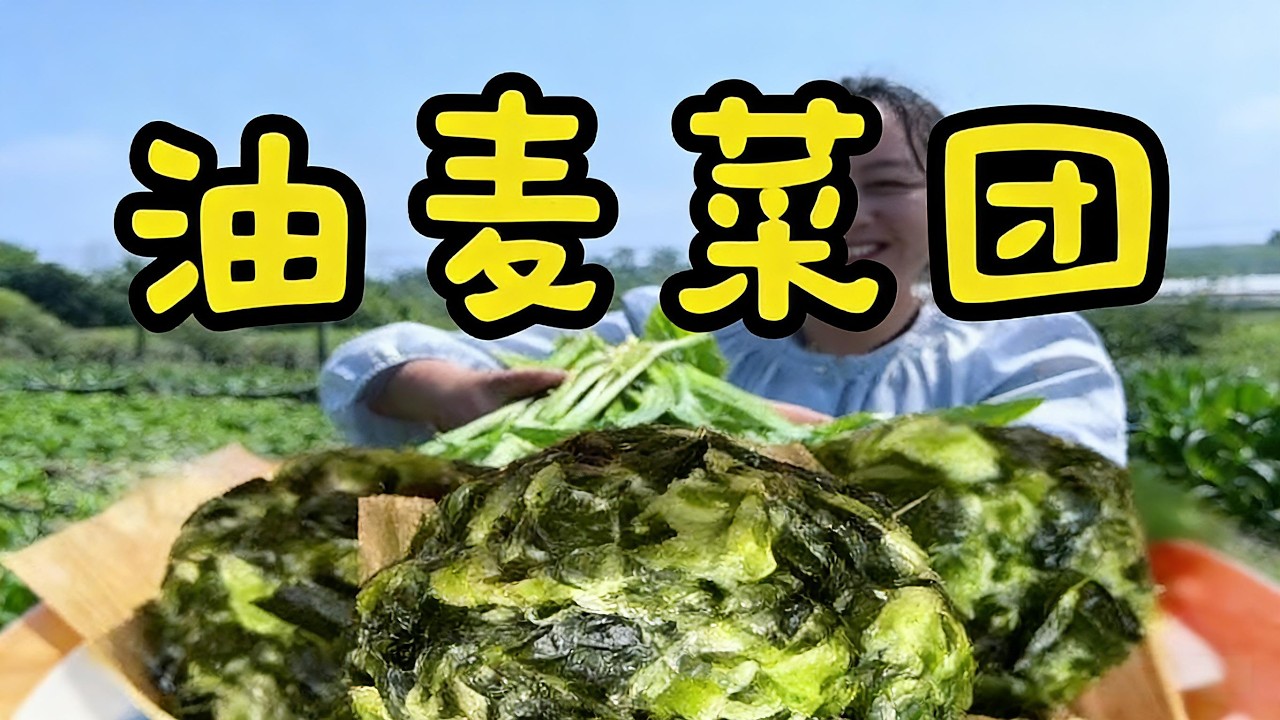 油麦蔬菜饺子Oil and Wheat Vegetable Dumplings#food #cooking #china