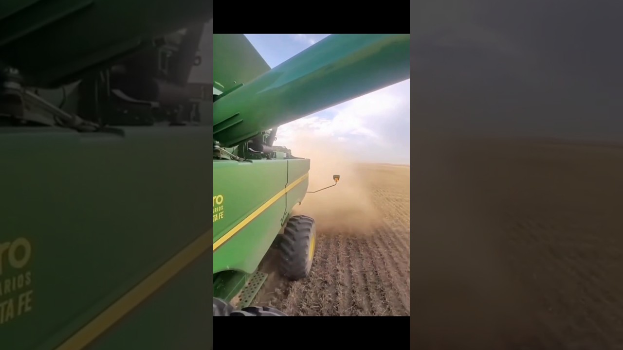 Wheat Farm Harvesting with Cutting-Edge Machines 🌾🚜 | Farming Revolution!"farmtech 