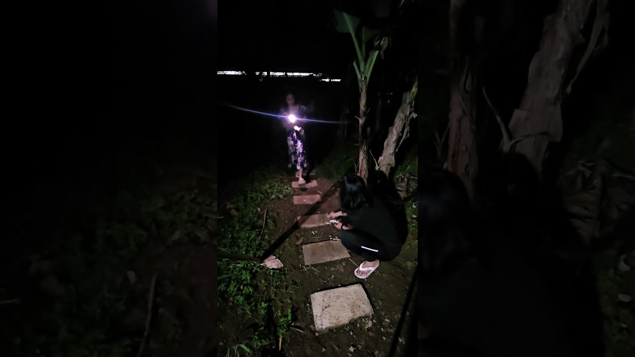 NYABUT SINGKONG MALAM LANGSUNG DI BAKAR DI SAUNG