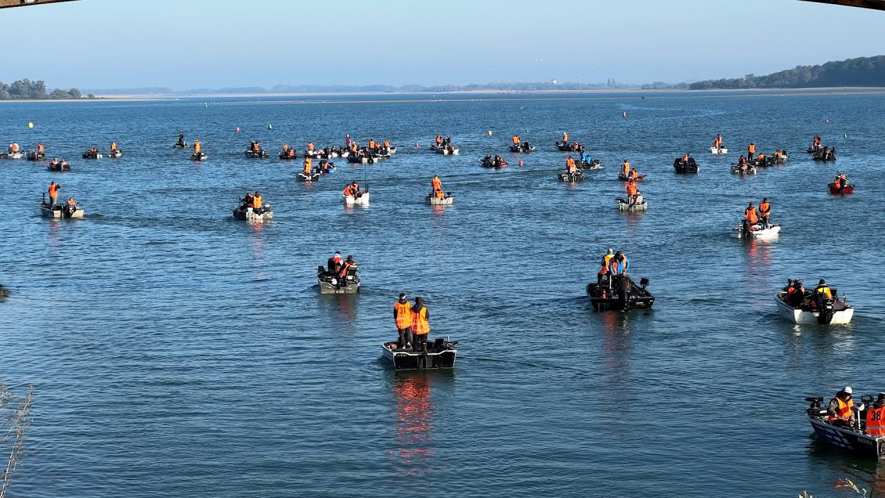 Carna&rsquo;der 2025 : quand le lac du Der accueille la plus grosse comp&eacute;tition de p&ecirc;che de France