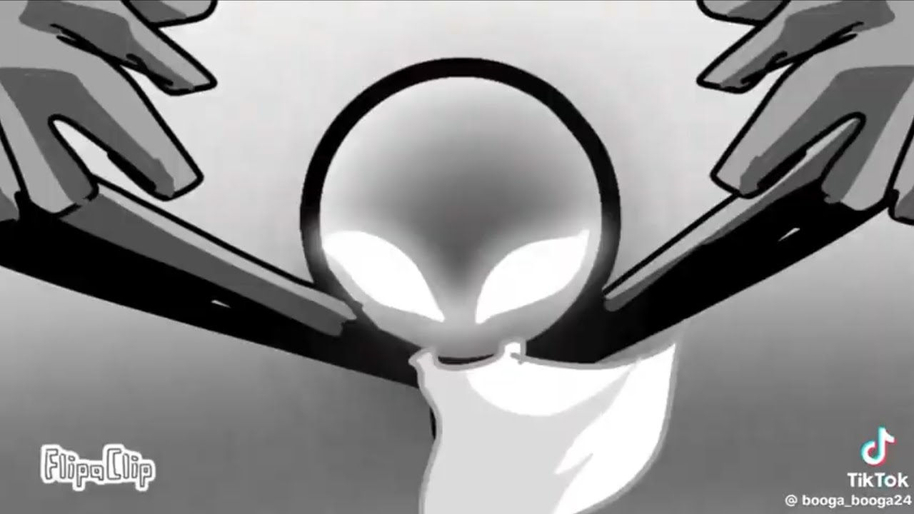 KC UNLIMITED FLEX WORKS EDIT ANIMETOIN