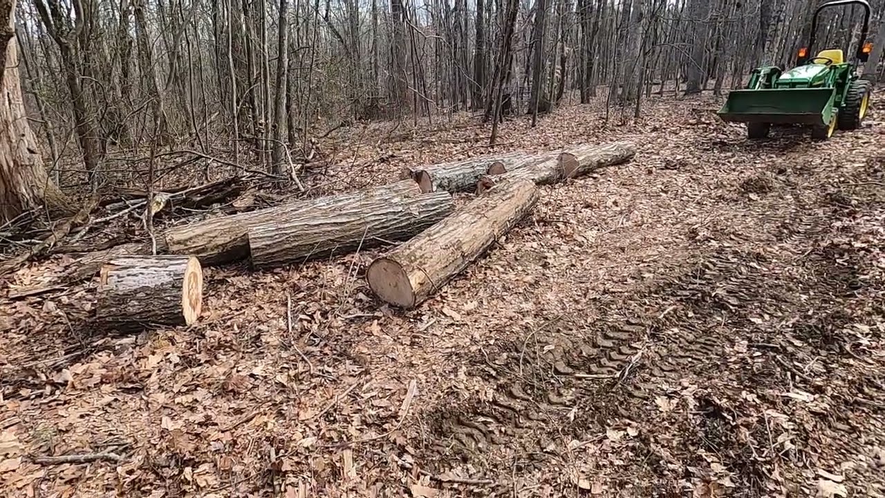 2006 John Deere 4115 Tractor Dragging Logs