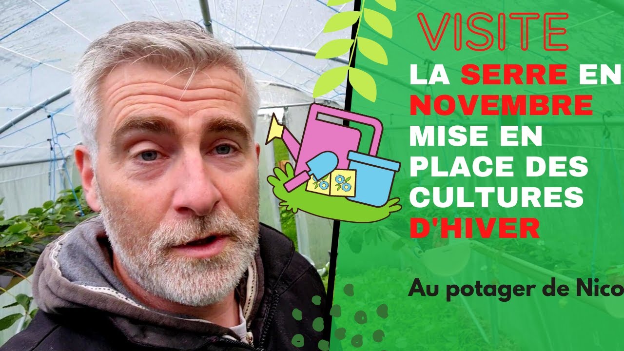 La serre en novembre: 🌱 fin de la mise en place des cultures d'automne et d'hiver