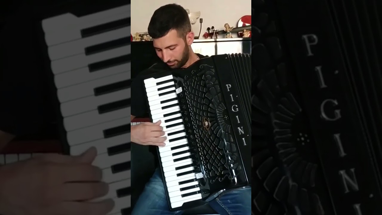 Valzer Accordion #elettrico #accordion #pigini #valzer