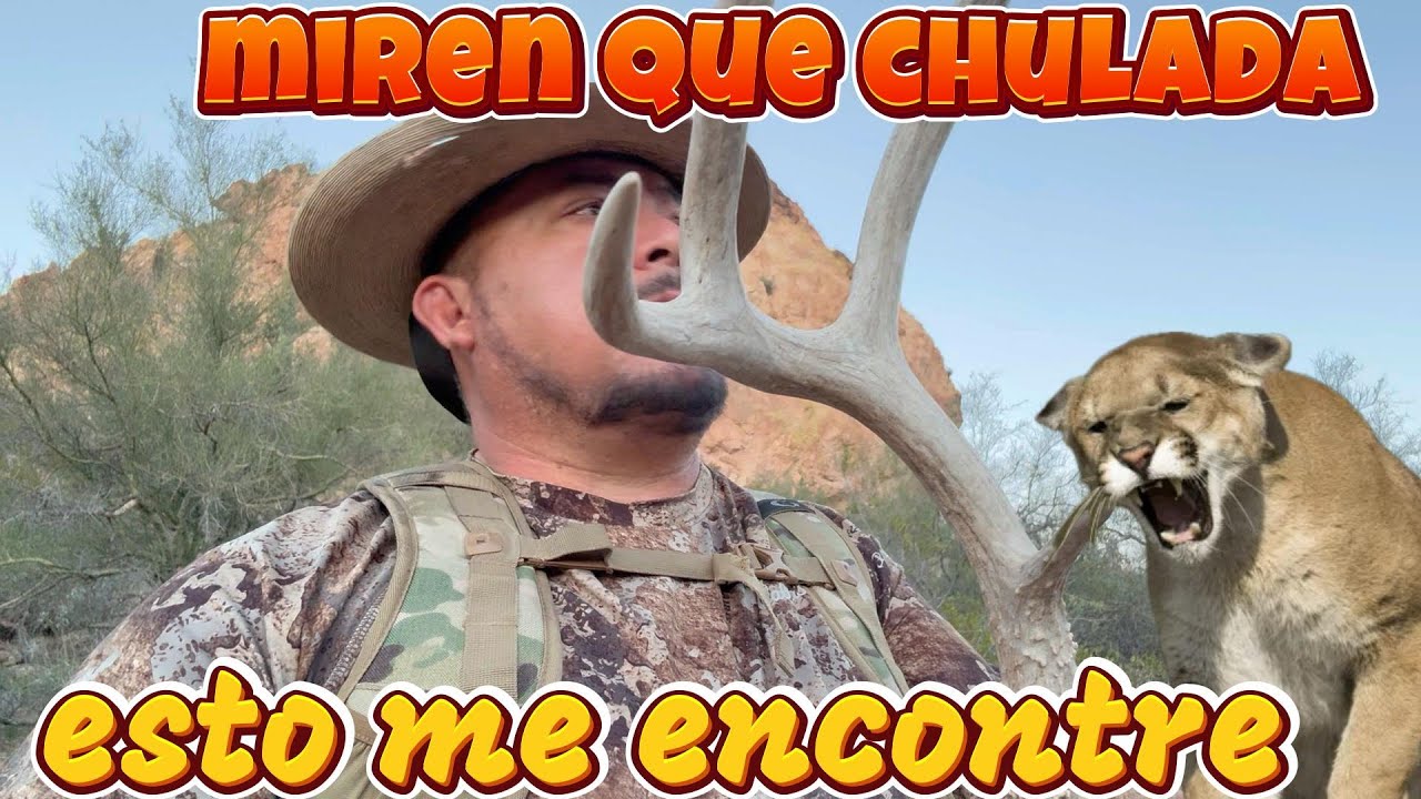 NUNCA SABES QUE TE VAS A ENCONTRAR EN EL DESIERTO #aventura #desierto #arizona #jeep 