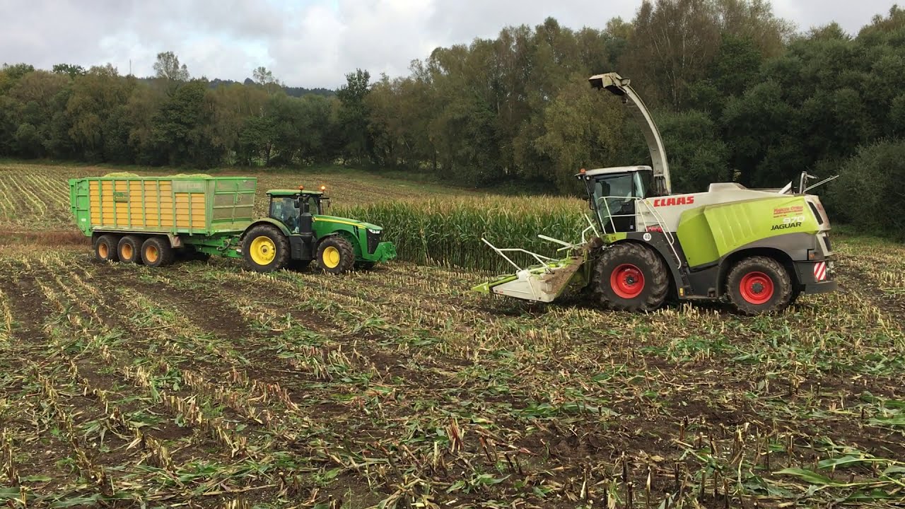 🥇 Trabajo de ensilado de maíz | Marcos Otero 🚜 marcosotero.es