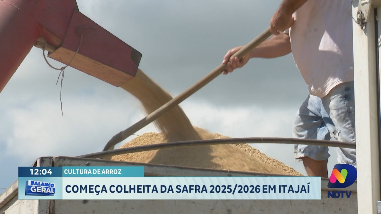 Safra de arroz 2025/2026 começa a ser colhida em Itajaí,