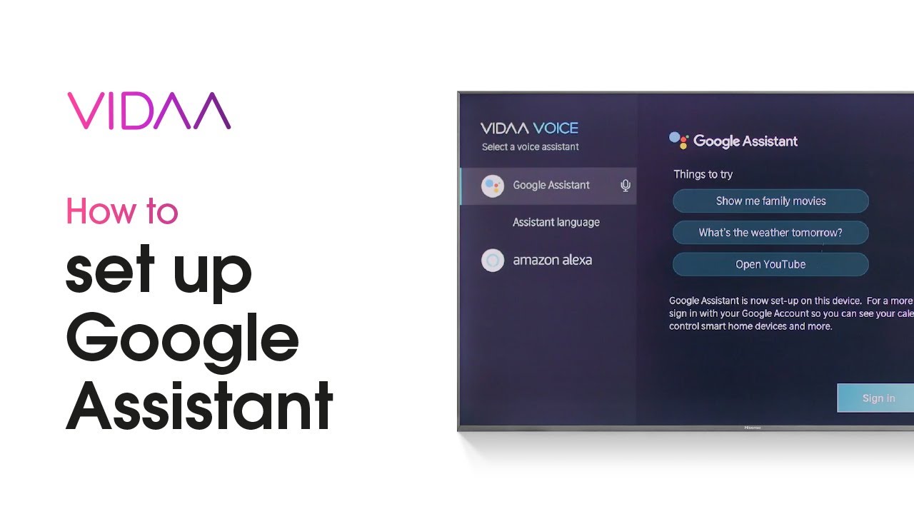 How to set up Google Assistant - VIDAA
