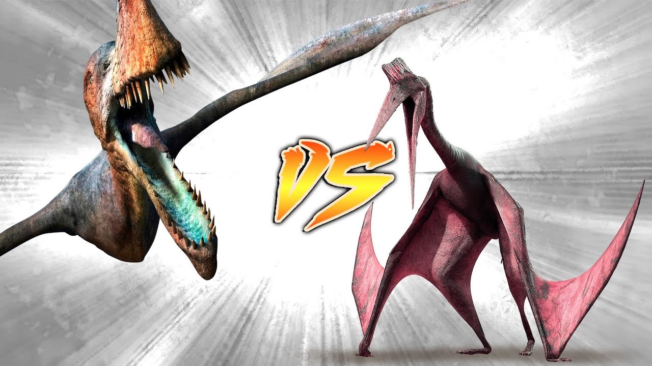 The battle of the FLYING DINOSAURS.