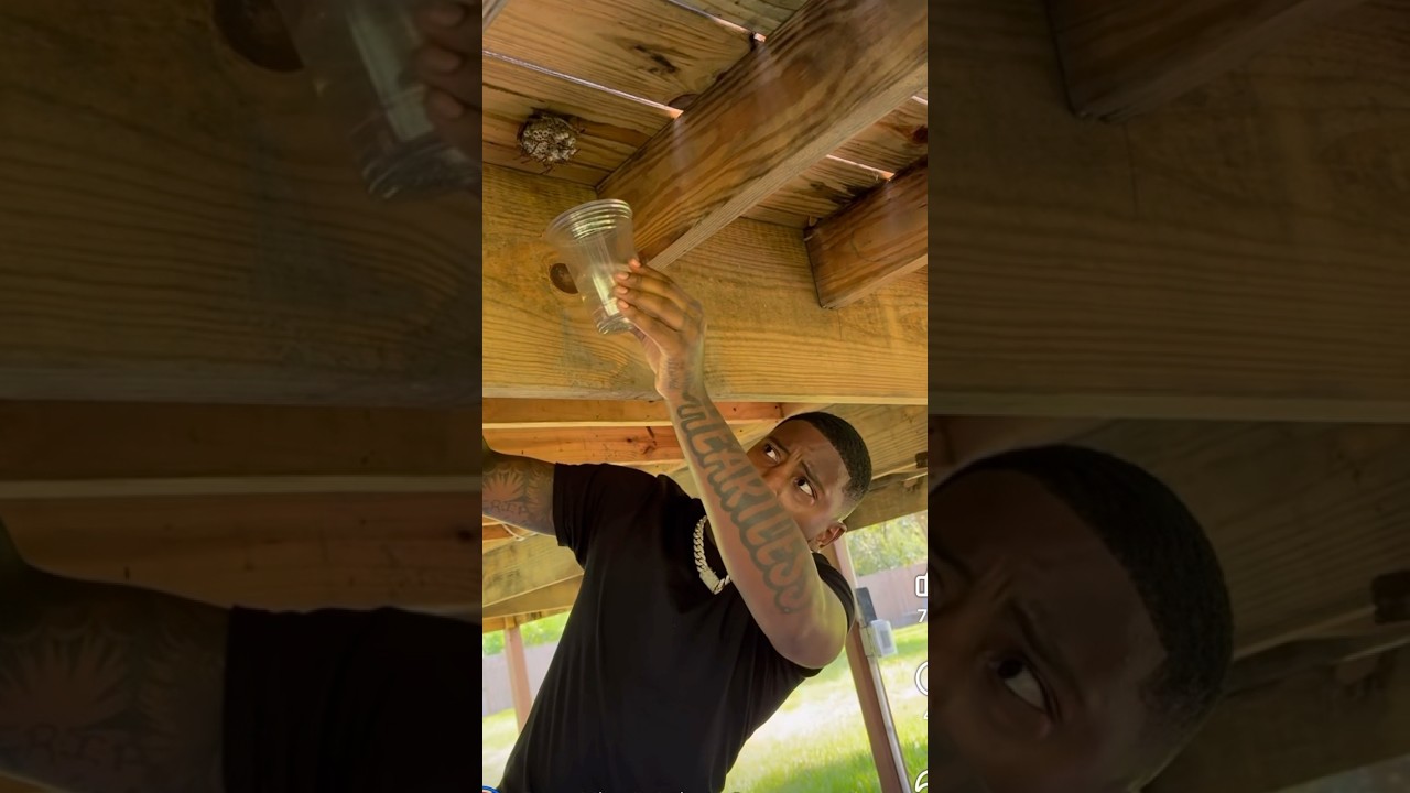 Забавный Майк пробует газовый метод на осах😂😂😂 #смешноймайк #ведьма #смешнаякамера #смешно