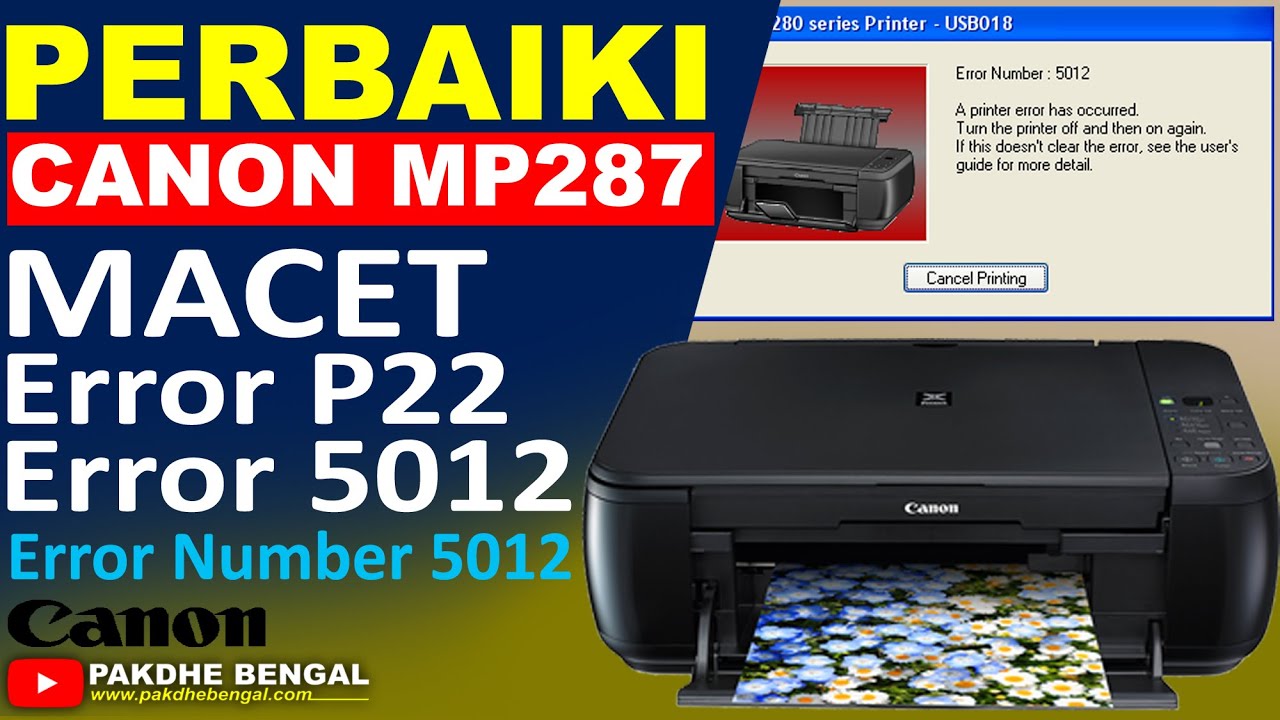 CARA PERBAIKI PRINTER CANON MP287 ERROR P22 DAN ERROR NUMBER 5012